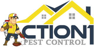 Welcome to Action 1 Pest Control